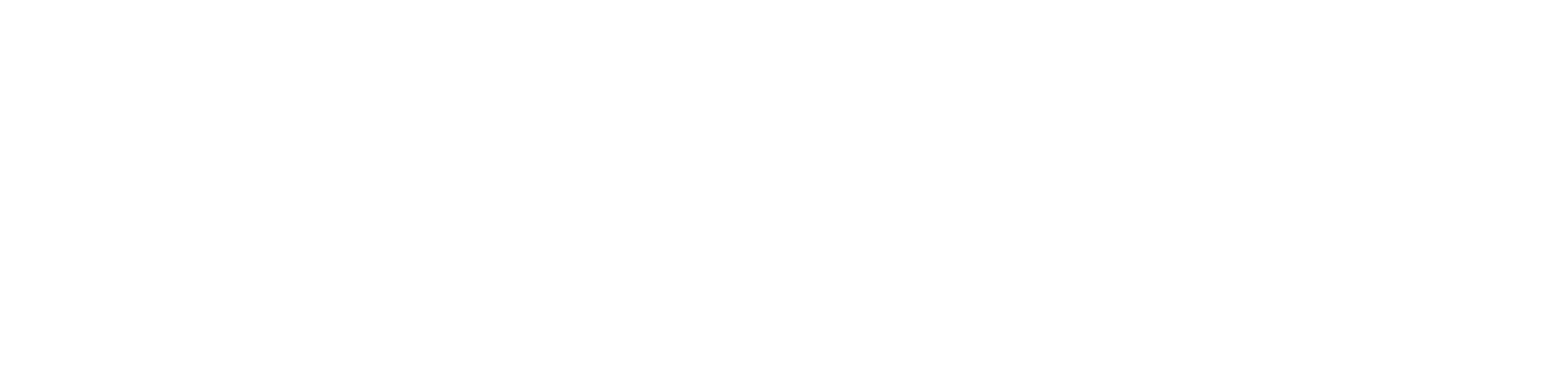 Turner Storage Solutions